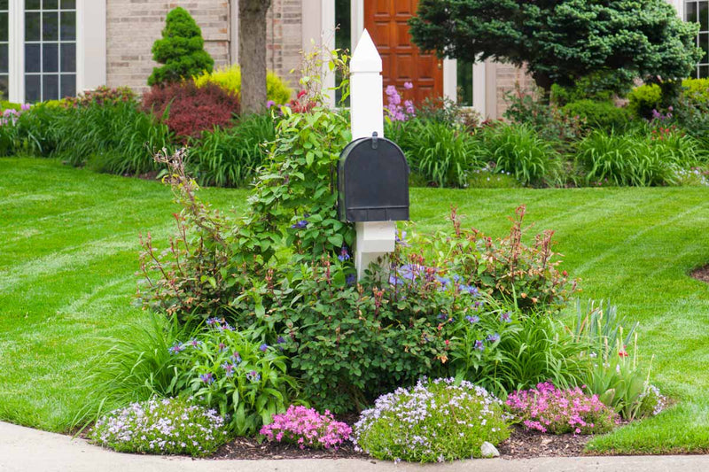 How Are Inheritance Checks Mailed?